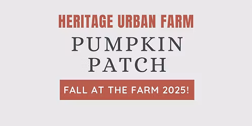 Pumpkin Patch Fall at the Farm