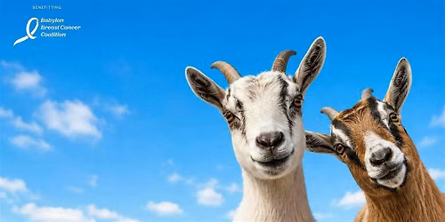 Goat Yoga on The Green