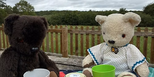 Celebrate National Teddy Bear\u2019s Picnic day at Epping Forest