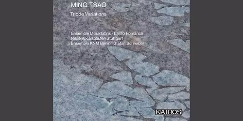 Neue Vocalsolisten Stuttgart