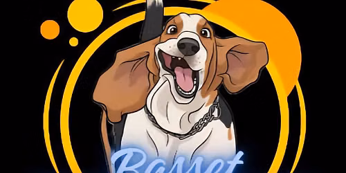 7th Annual Basset Hound Beach Invasion