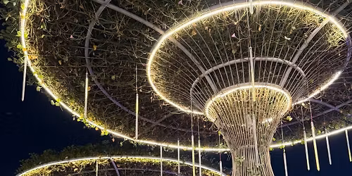 Dubai Miracle Garden