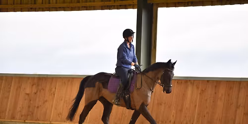 Day camp Dressage and Showjumping