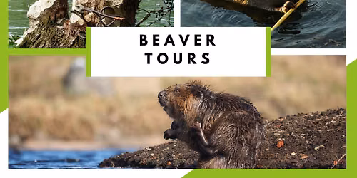 Beaver Property Tours