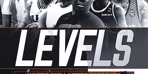 Levels