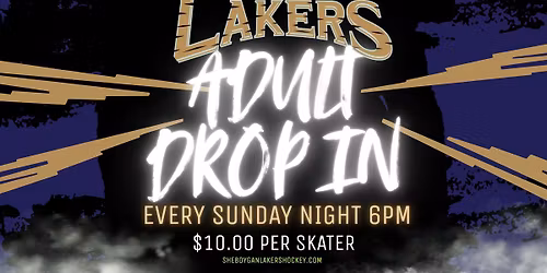Adult Drop In Hockey