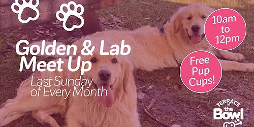 Golden & Lab Meet Up