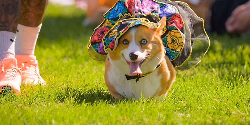 Corgi Con 2026