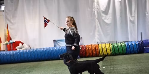 Stevne i Kreativ Lydighet Fredrikstad 23-25. mai 2026