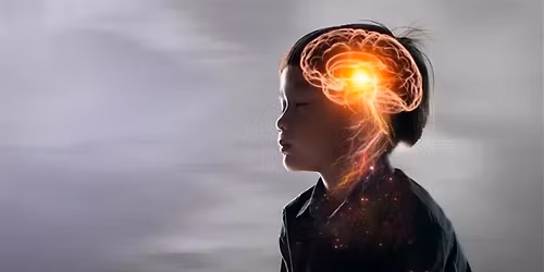 LA GL\u00c1NDULA PINEAL: LA MIRADA INTERIOR M\u00c1S ALL\u00c1 DE TUS SENTIDOS