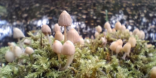 fairburn ings  mooch x FAIRBURN WOODS TOO \ud83d\udc40 