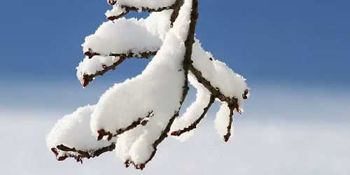 Conscious Connected Breathwork with Lyndsey & Anna