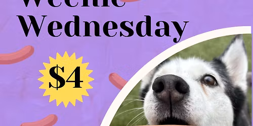 Weenie Wednesday at Summit Pet Care!