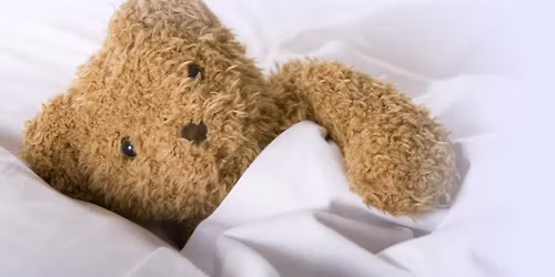 Stuffed Animal Sleepover