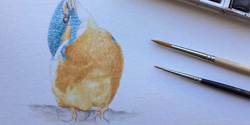 Workshop de Ilustra\u00e7\u00e3o da natureza - Aves em aguarela