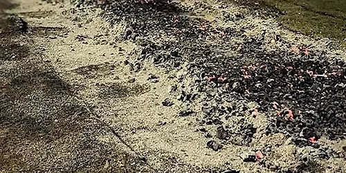 LGBT Health and Wellbeing Firewalk