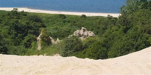 Stewardship Saturday: Hallock Preserve Invasive Sapling & Knotweed Removal