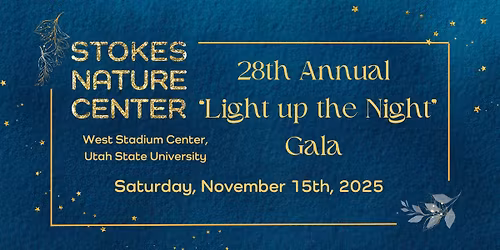 28th Annual Light up the Night Gala