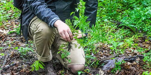 Contr\u00f4le d'esp\u00e8ces envahissantes