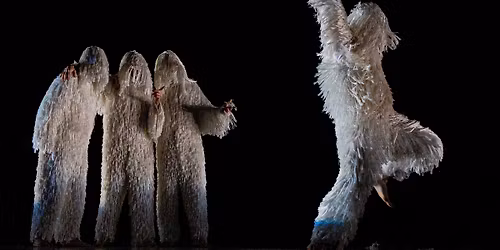 A4 (Comme la feuille) - Cie Chicos Mambo