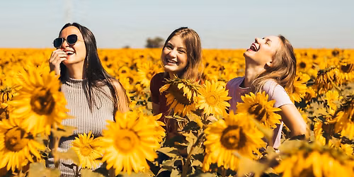 Conf\u00e9rence - "Vivantes" - Pascale Seys, Laurence Vielle & Catherine Graindorge