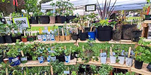 PICKERING GARDEN CLUB PLANT SALE