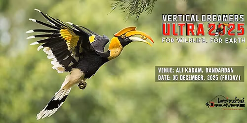 Vertical Dreamers Ultra: Edition-3