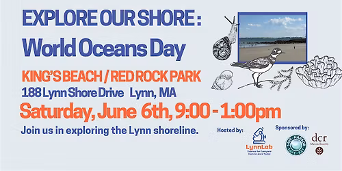 Explore Our Shore: World Oceans Day at KING\u2019S BEACH