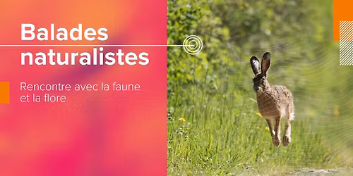 Sur la piste des animaux des Rami\u00e8res