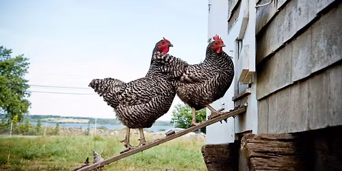 Farm Tours