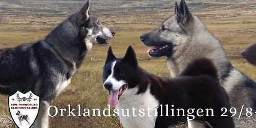 Orklandsutstillingen 2026