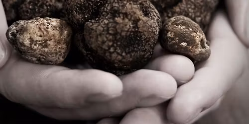 Napa Truffle Festival Marketplace