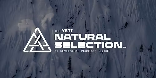 Yheti (18+)