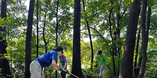 Trail Work Thursdays