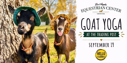 Goat Yoga at the LA Equestrian Center in Burbank