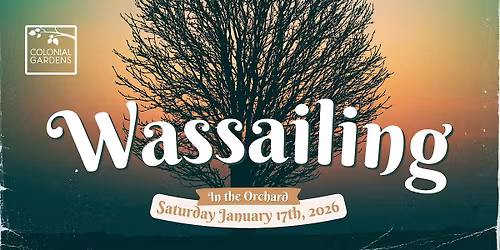 Wassailing in the Orchard - Colonial Gardens