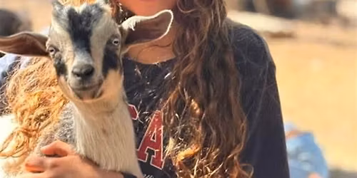 Baby Goat and Farm Animal Playtime at Splitrock Farm Critter Camp