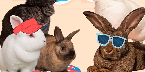 Rabbit Adoptathon June 27-28