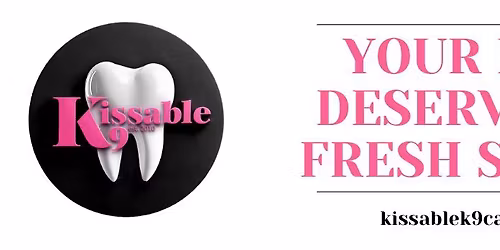 Woodbridge, ON \u2013 Pet Valu - (905) 605-6633