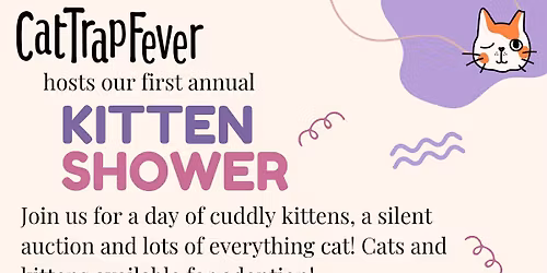 Cat Trap Fever kitten shower! \ud83d\ude38