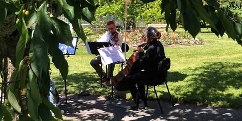 Concert classique gratuit en plein air par l'Orchestre de Chambre de Gen\u00e8ve
