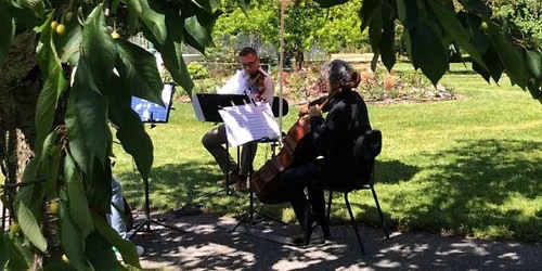 Concert classique gratuit en plein air par l'Orchestre de Chambre de Gen\u00e8ve
