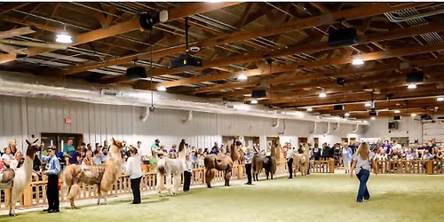 Hamilton County 4H Fair