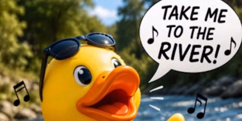Great Duck Race
