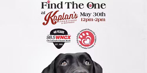 Kaplan's Furniture x WNCX x FAPL Adoption Event