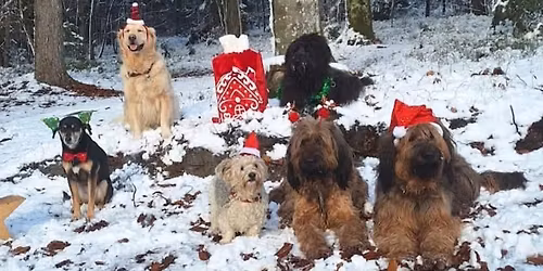 Kleine Weihnachtswanderung mit Pl\u00e4tzchen-Test und Gl\u00fchwein