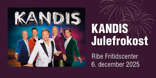 Den store julefrokost feat. Kandis