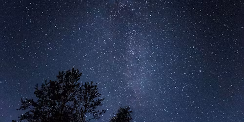 New Moon Night Hike \ud83c\udf19