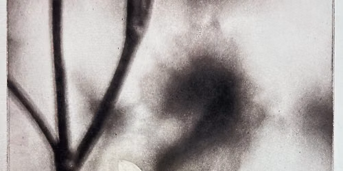 Beyond the Straight Photopolymer Print