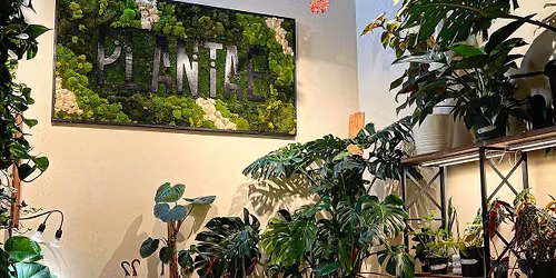 Community Plant Swap